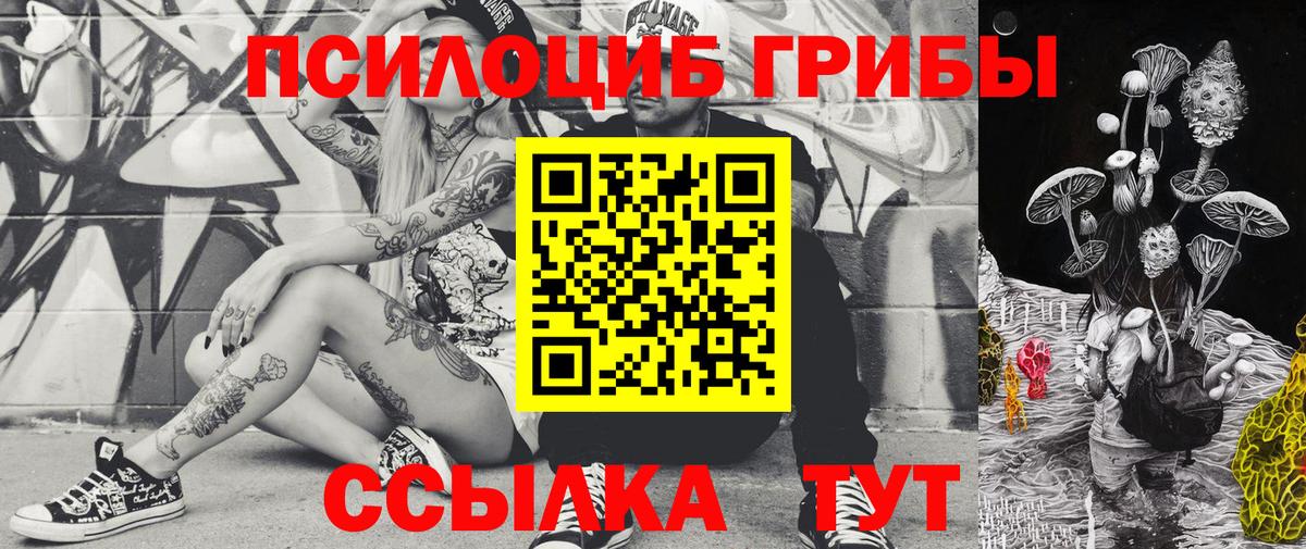 Псилоцибиновые грибы Psilocybine cubensis  Вход с VPN  Отрадное  Псилоцибиновые грибы мицелий 