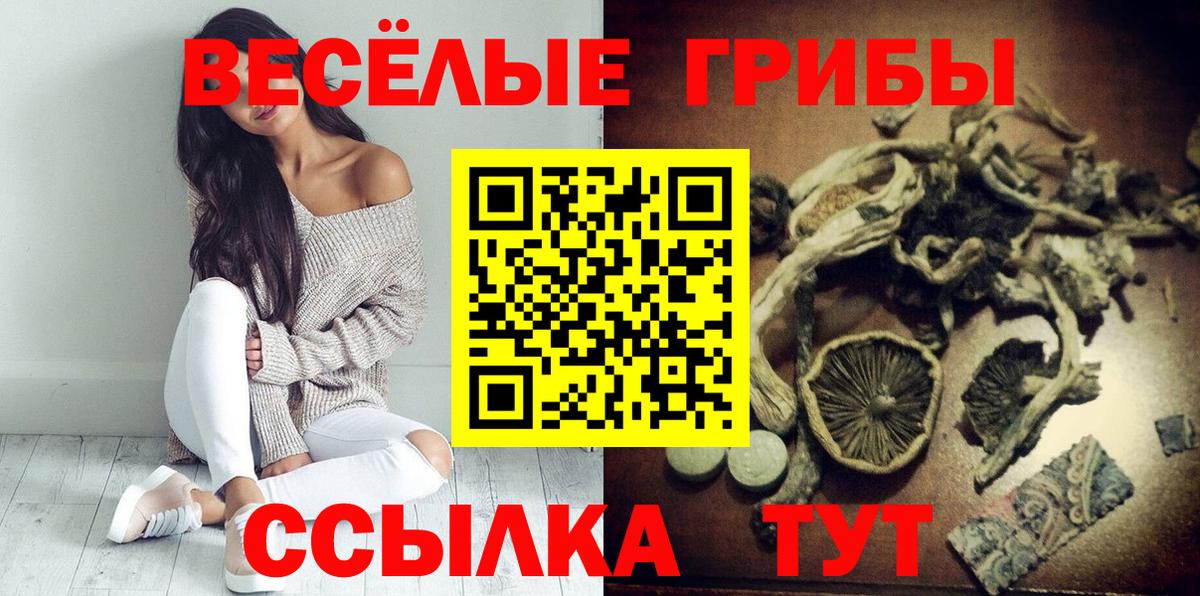 Галлюциногенные грибы прущие грибы Отрадное